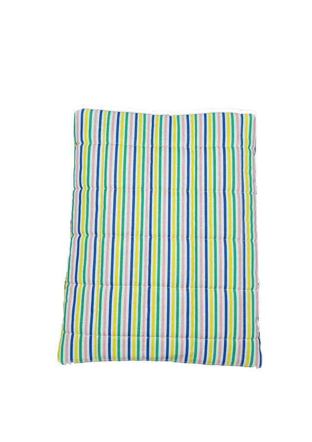 POCHETTE LIVRE "RAYÉE" taille M